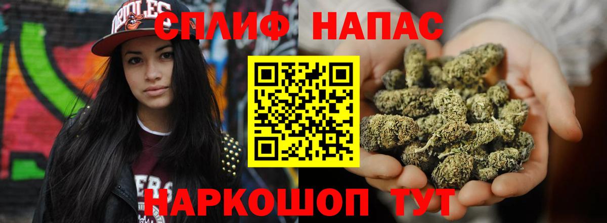 Каннабис индика Губкин
